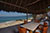 Beach Palapa